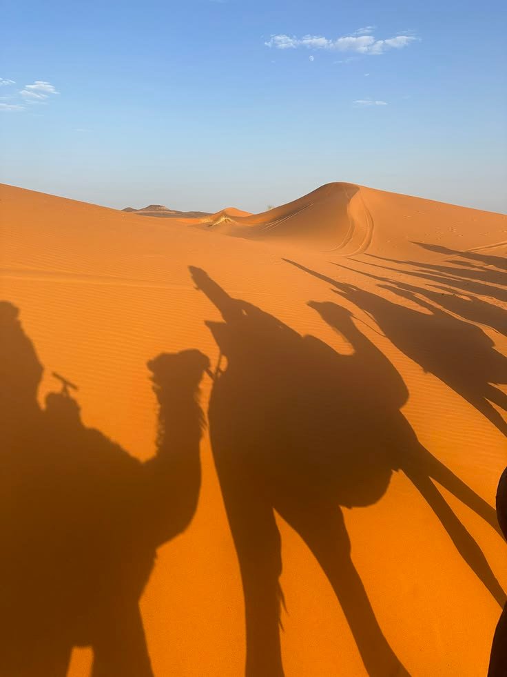 Escursioni da Marrakech al Deserto