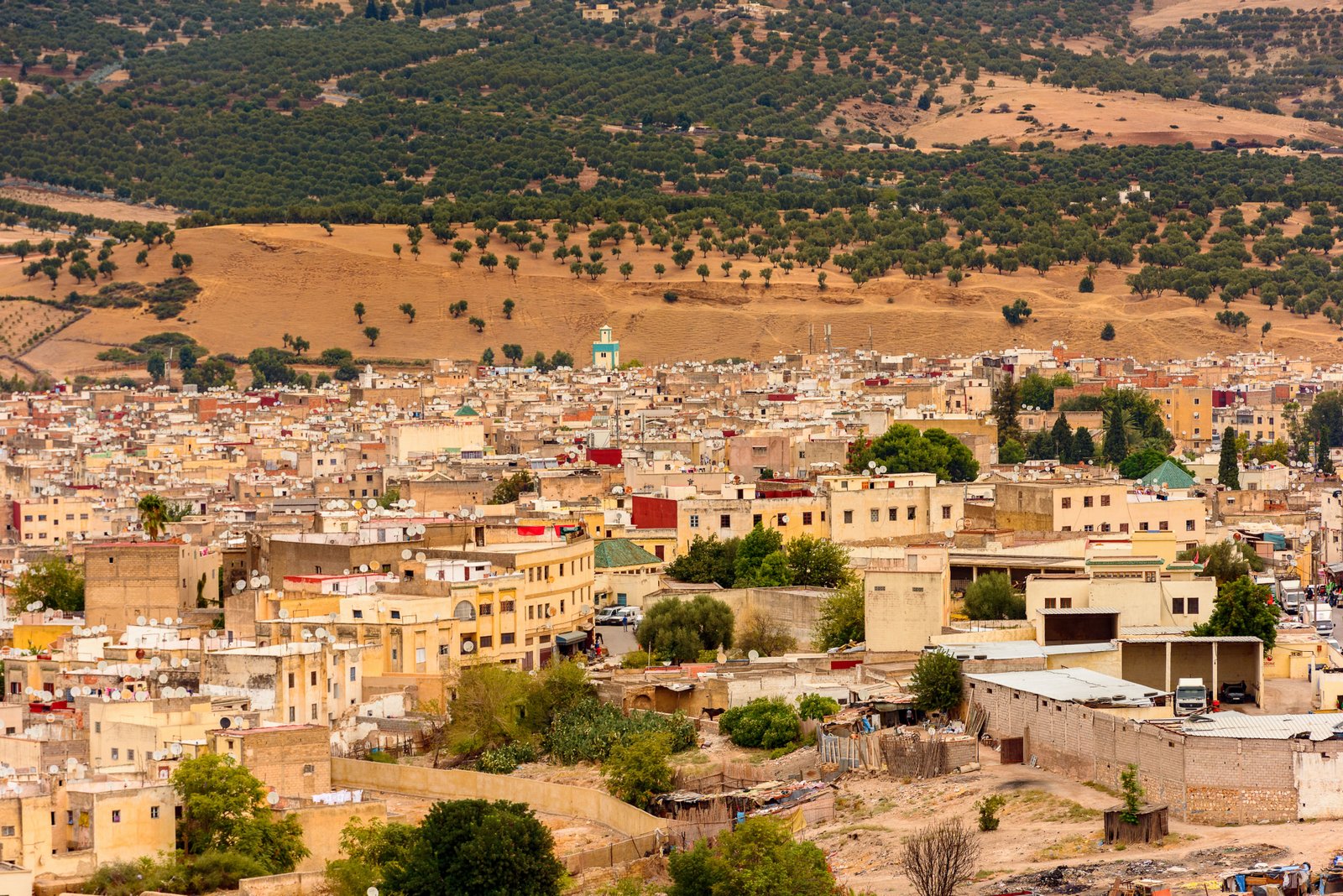 Voyage Organisé au Maroc : Le Guide Complet