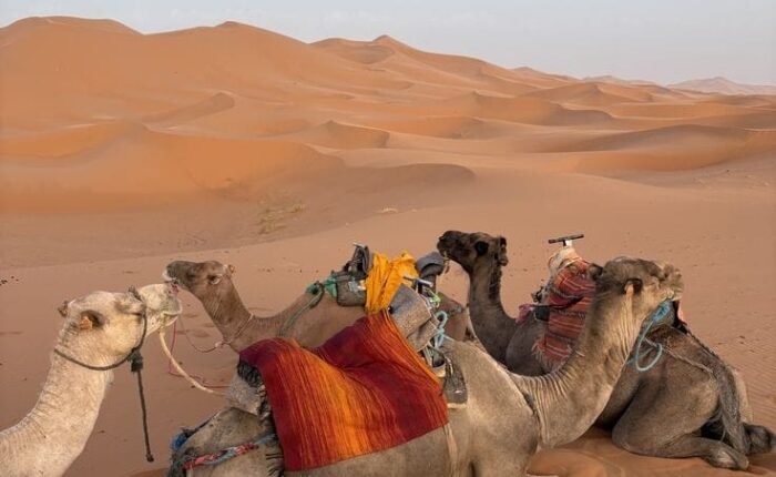excursión desierto Merzouga 2 días desde Marrakech