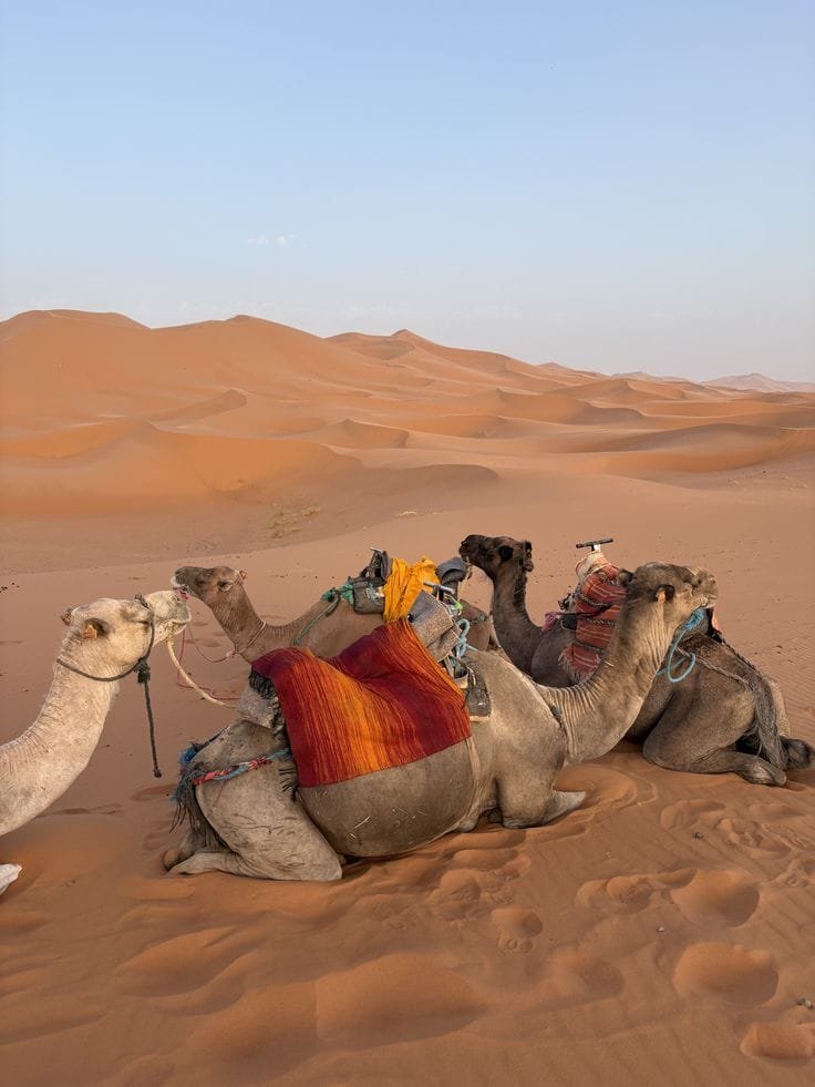excursión desierto Merzouga 2 días desde Marrakech